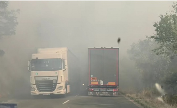 Голям пожар е възникнал на международния път на изхода на