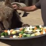 90-килограмов мечок влезе в болница след плодово пиршество