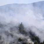 Голям пожар бушува край Хасково, гори Сакар планина