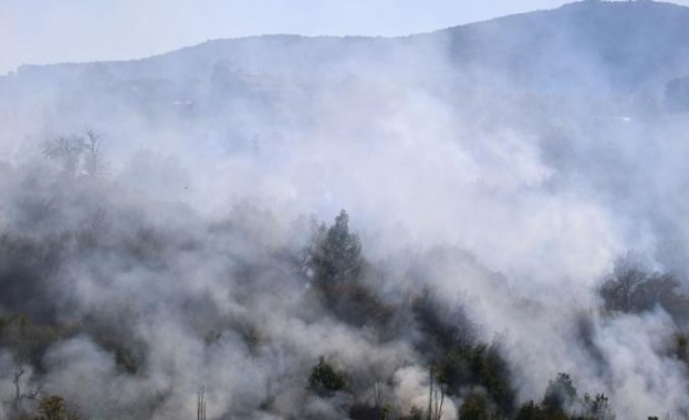 Днес следобед е възникнал пожар на територията на Сакар между