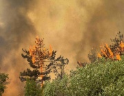 Пожарникари близо седмица се борят с голям горски пожар в южната австрийска провинция Каринтия