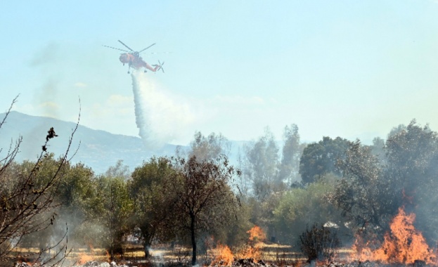 Голям пожар гори на полуостров Пелопонес край Древна Олимпия