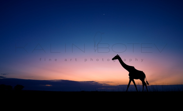 Събирана в продължение на близо две десетилетия на пътувания и