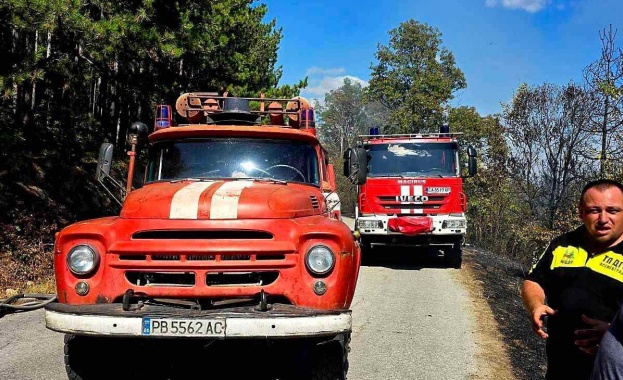 Голям пожар край Горнослав, спряно е електричеството над Асеновград