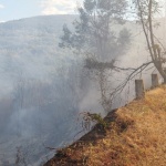 Овладян е големият пожар над асеновградското село Горнослав