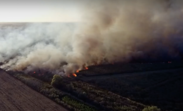 Борбата с огъня в защитената местност Калимок Бръшлен продължава и тази