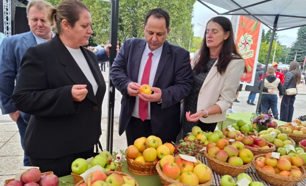 Заместник-министър Иван Капитанов: През следващата седмица започва изплащането на оставащите компенсации за измръзналите череши, вишни и кайсии