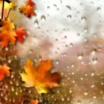 Слънце, вятър и дъжд през уикенда