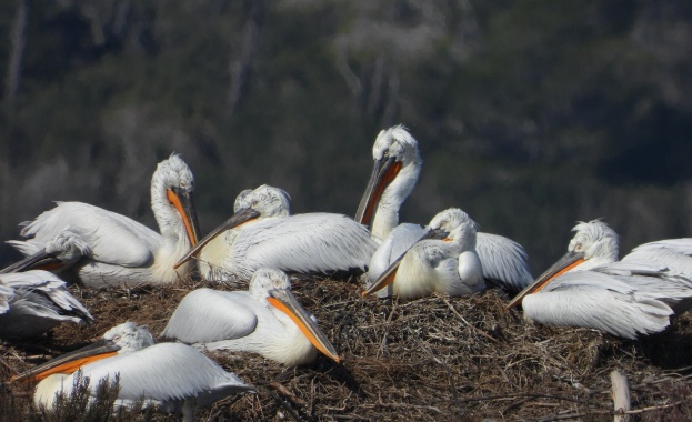 Гласуването на Конгреса на IUCN потвърждава: Няма оправдание за неустойчиво развитие на туризма за сметка на защитените територии