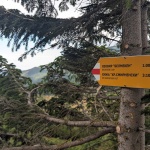 Европейският маршрут Е8 вече е с обновена маркировка между Боровец и Аврамово