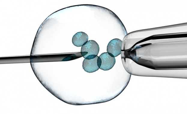 Създадоха яйцеклетка от човешки кожни клетки, която може да се оплоди