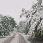 Проблеми по пътищата в Северозападна България заради снега