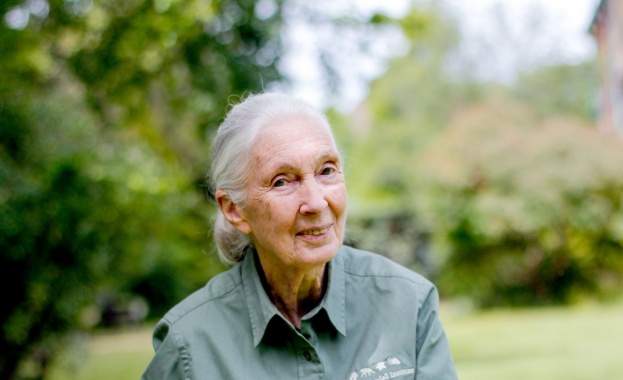 Viasat Nature почита Джейн Гудол: Завет за състрадание и опазване на природата