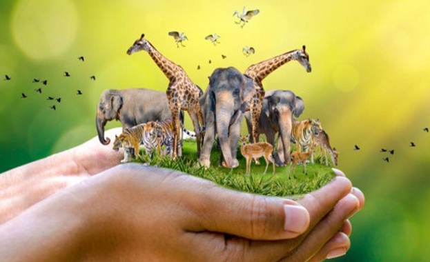 4 октомври - Международен ден за защита на животните