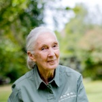 Viasat Nature почита Джейн Гудол: Завет за състрадание и опазване на природата