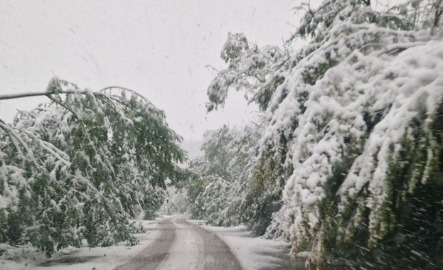 Отново затвориха прохода Петрохан, спряха движението по част от "Хемус"