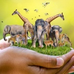 4 октомври - Международен ден за защита на животните