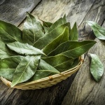 Дафиновият лист – подправката на боговете и победителите