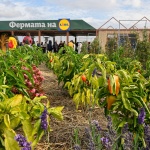 „Фeрмата на Lidl” – образователна градина от ново поколение