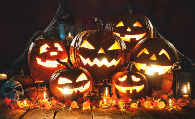 Този Хелоуин мистерията на хитовия сериал Wednesday оживява в Lidl