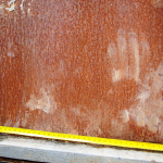 Мечките слизат все по-често в населените места заради липса на храна в горите и прекъснати миграционни коридори