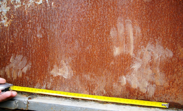 WWF започва кампания в социалните мрежи за да информира хората