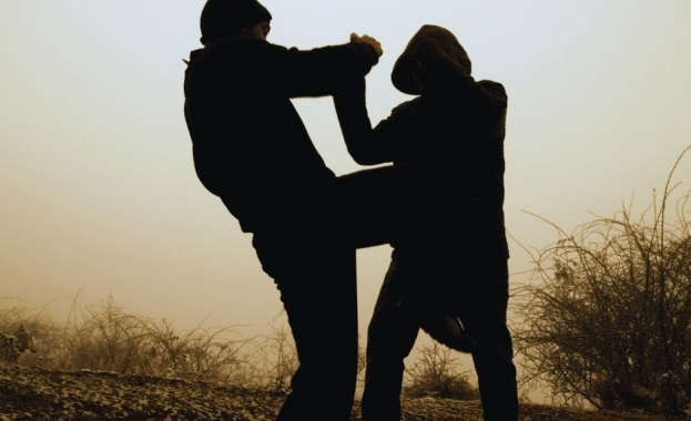 Исландският модел е доста точен пример за пътя на адаптация