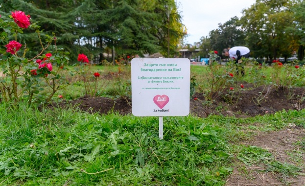 Информация свързана с инициативата на Изпълнителна агенция Медицински надзор