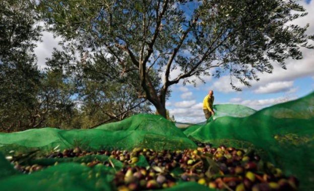 В Гърция Законът за 13 часов работен ден ще се приеме