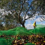 Законът за 13-часов работен ден в Гърция е за частния сектор, в държавните фирми работят по 8 часа, дори по-малко