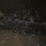 Жилищен блок в Добрич пропада заради постоянни наводнения от отпадни води, алармират обитателите му