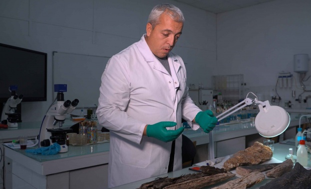 Документалният филм Потопът и вкаменената гора ще направи своята премиера