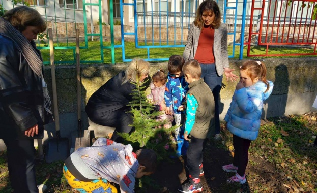 Зам.-кметът Павлина Делчева засади атласки кедър с послание срещу насилието и злоупотребата с деца