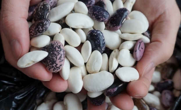 Родопското село Смилян посрещна днес гости от цялата страна на