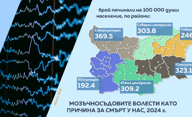 През миналата година всеки пети не е успял да оцелее
В