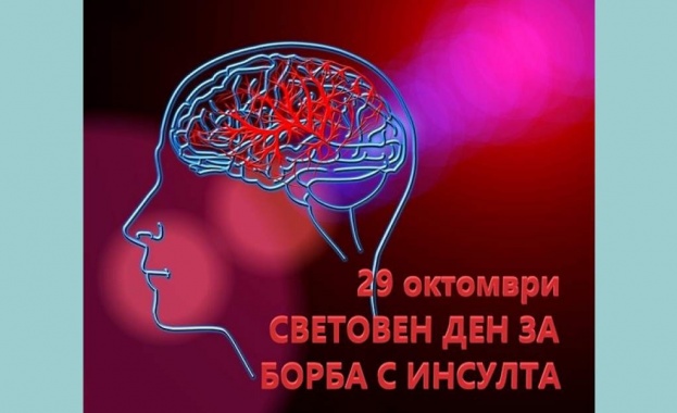 На 29 ти октомври отбелязваме Световен ден за борба с инсулта  ден