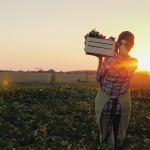 Разнообразие от български продукти и интересни находки на последния фермерски пазар на Lidl   