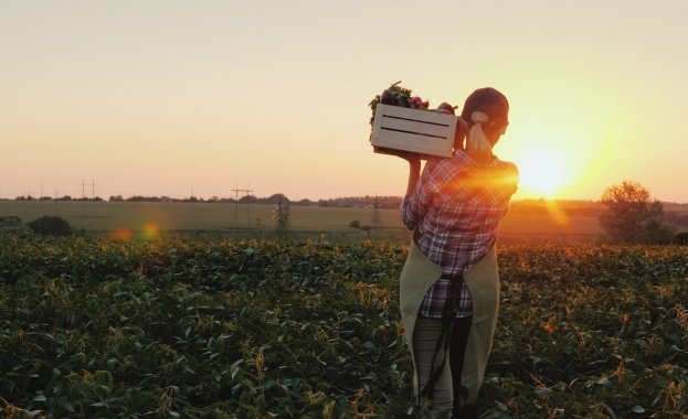 13 родни производители и занаятчии ще вземат участие в последния