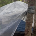 Oткритият в Пирин мъж e пребивавал и в Гърция