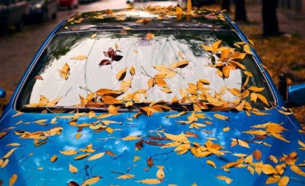 Могат ли падащите листа да повредят боята на колата ви