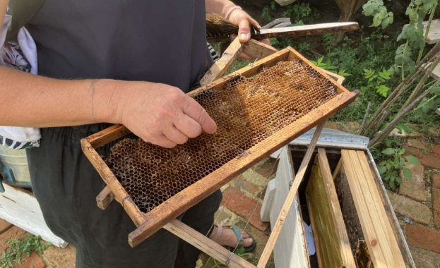 Как сушата топлите зими и екстремните промени поставят под заплаха