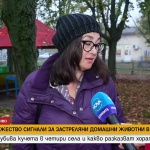 Множество сигнали за застреляни домашни кучета в Русенско