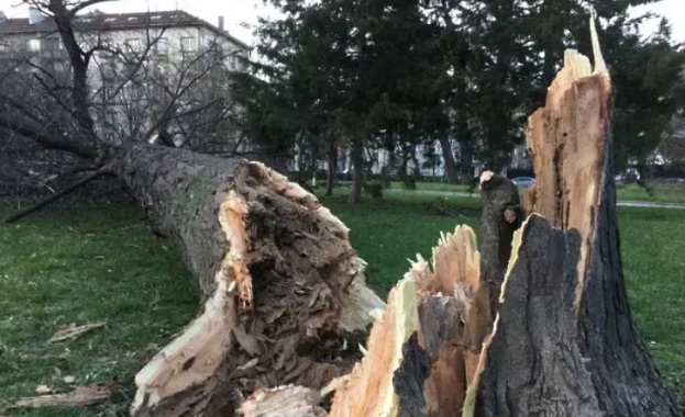 Предупреждение за ураганен вятър в Царево Според метеоролозите днес в