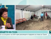 Геополитически игри в ООН: Какво се крие зад резолюцията за бъдещето на Газа
