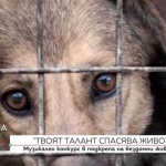 "Твоят талант спасява живот": Деца творят в помощ на приют с над 350 животни