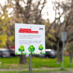 По-чист въздух в Пловдив: EVN Топлофикация реализира третата си залесителна кампания