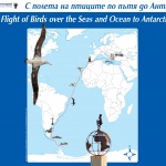 Изложба "С полета на птиците по пътя към Антарктида"