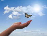 Начинът да започнете е да спрете да...