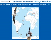 Изложба "С полета на птиците по пътя към Антарктида"