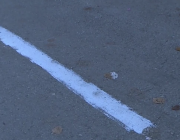 Варненци сами си правят маркировка в новата зелена зона